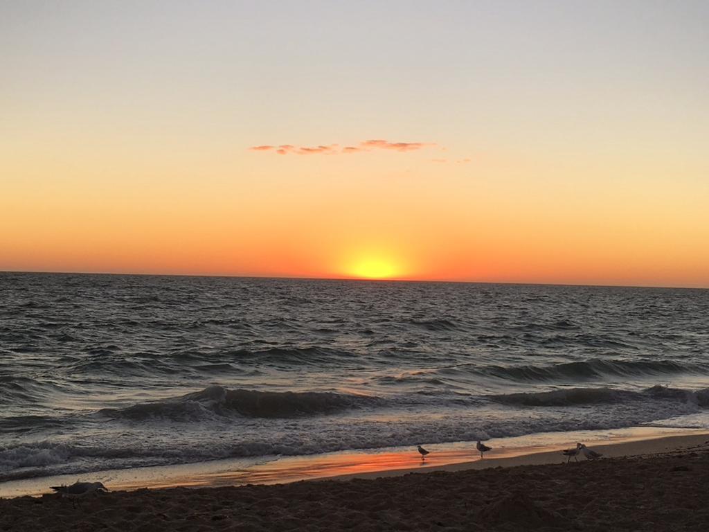 Magnificent Beach Retreat Jindalee Bagian luar foto